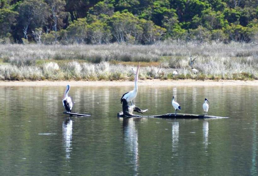 Курорт Kalgan River Chalets And Caravan Park