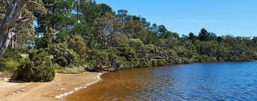 リゾートホテル Kalgan River Chalets And Caravan Park