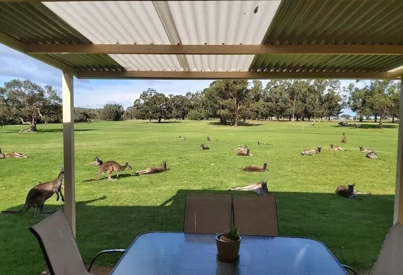 リゾートホテル Kalgan River Chalets And Caravan Park