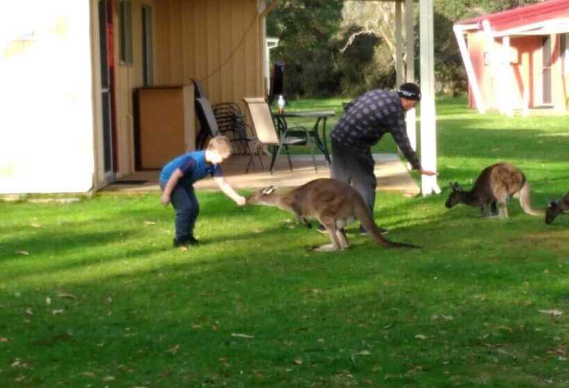 Курорт Kalgan River Chalets And Caravan Park