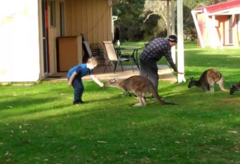 リゾートホテル Kalgan River Chalets And Caravan Park