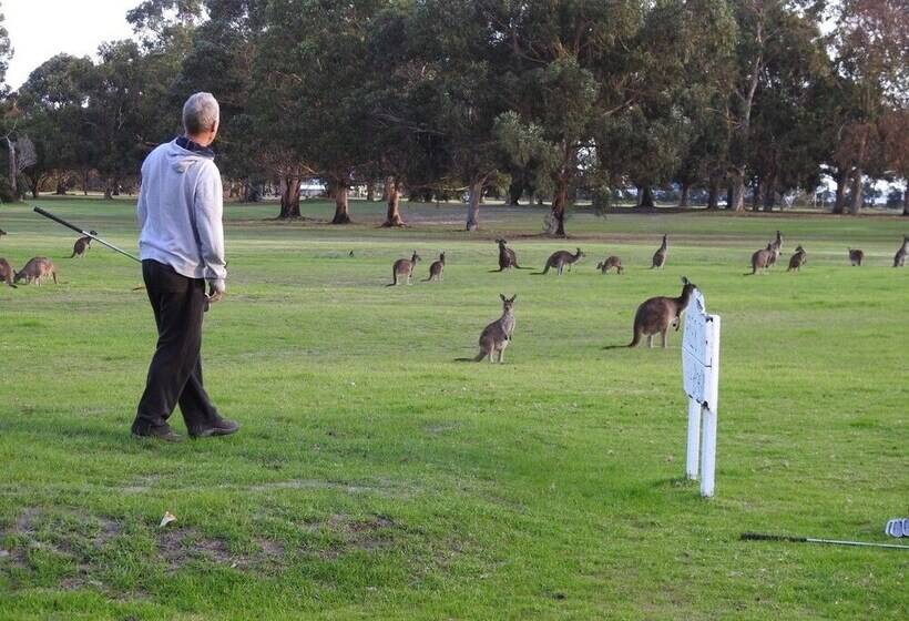 Курорт Kalgan River Chalets And Caravan Park