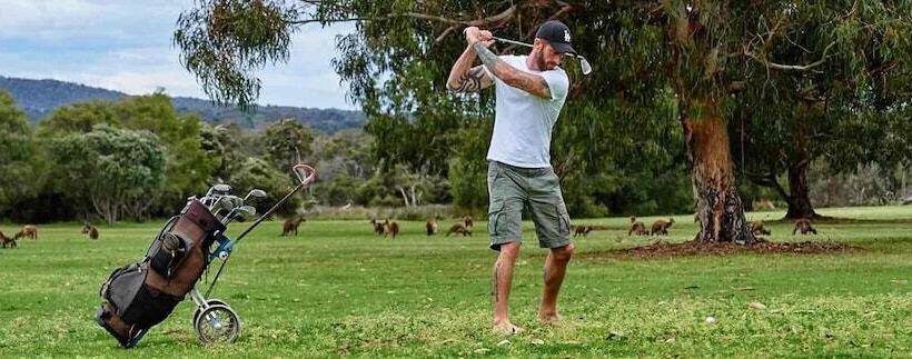 Курорт Kalgan River Chalets And Caravan Park