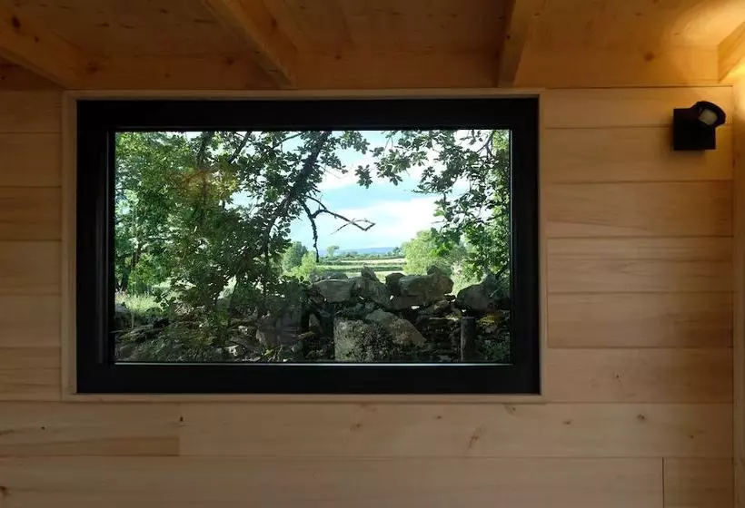 Tiny Experience