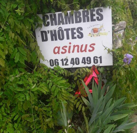 住宿加早餐 Asinus 32