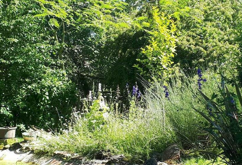 住宿加早餐 Asinus 32