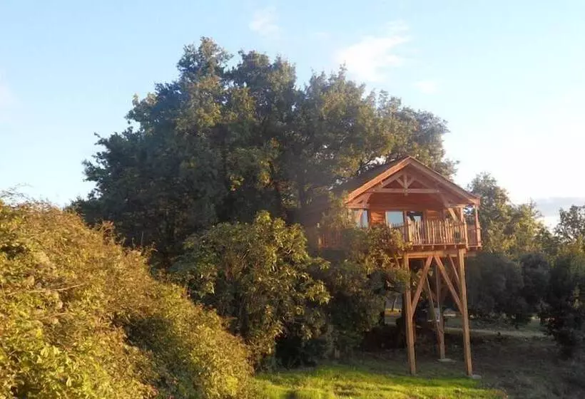 ホテル Cabane D Hôtes Avec Spa Aura Cabana