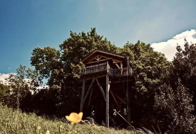 ホテル Cabane D Hôtes Avec Spa Aura Cabana