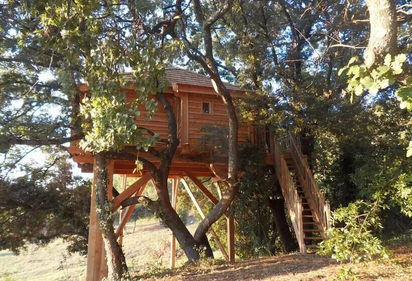ホテル Cabane D Hôtes Avec Spa Aura Cabana