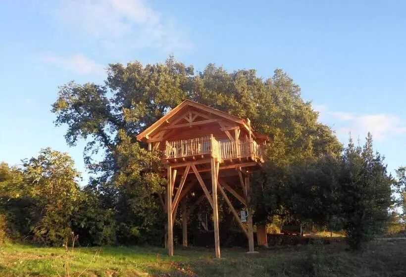 ホテル Cabane D Hôtes Avec Spa Aura Cabana