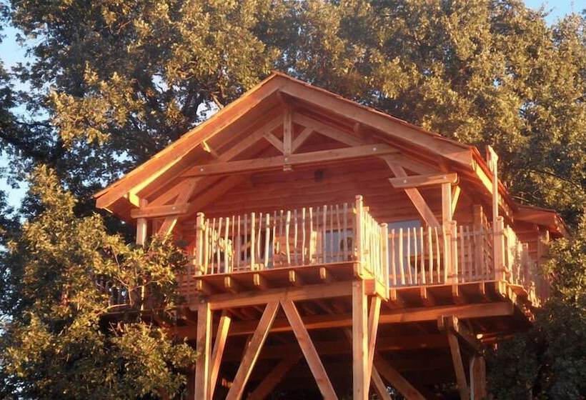 Hotel Cabane D Hôtes Avec Spa Aura Cabana