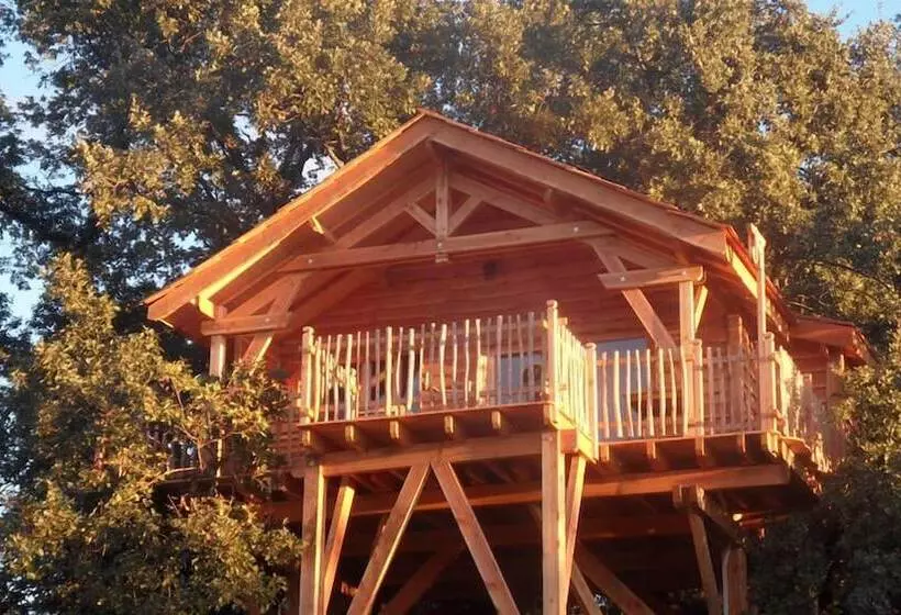 ホテル Cabane D Hôtes Avec Spa Aura Cabana