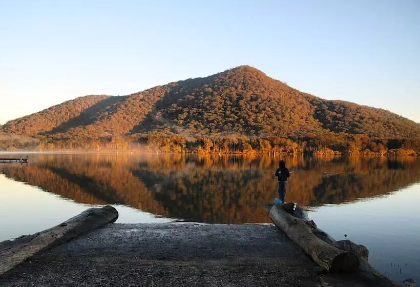 ホテル Diamond Waters Caravan Park