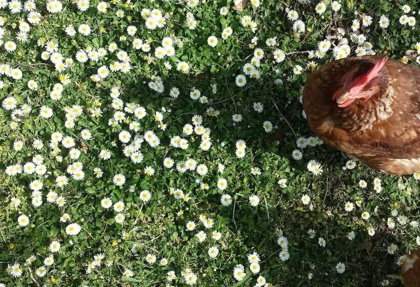 田舎風ホテル Agriturismo Villa Fiore