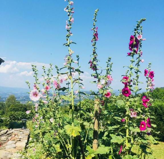 بنسيون Ferme De La Cochette
