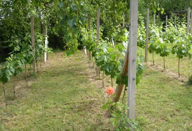 Majatalo Gästehaus Eschment