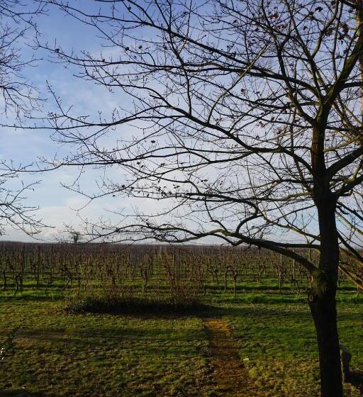 膳宿费 Gästehaus Eschment