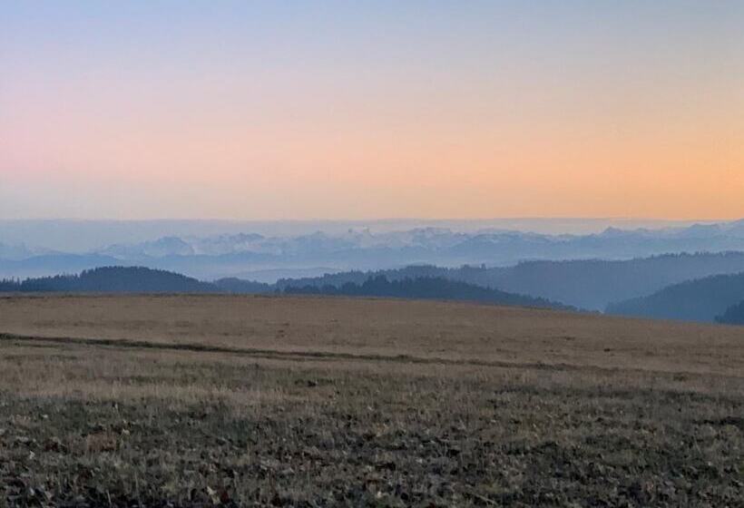 膳宿费 Zum Ochsen