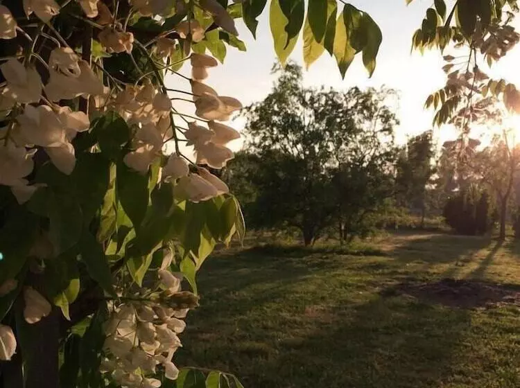 Aamiaismajoitus (B&B) Château Bernon Maison D Hotes   Piscine Et Sauna