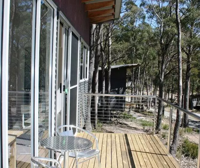 Craggy Peaks Wilderness Cabins