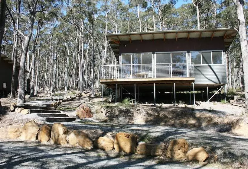 Craggy Peaks Wilderness Cabins