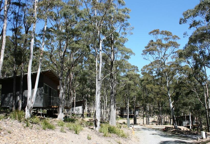 Craggy Peaks Wilderness Cabins