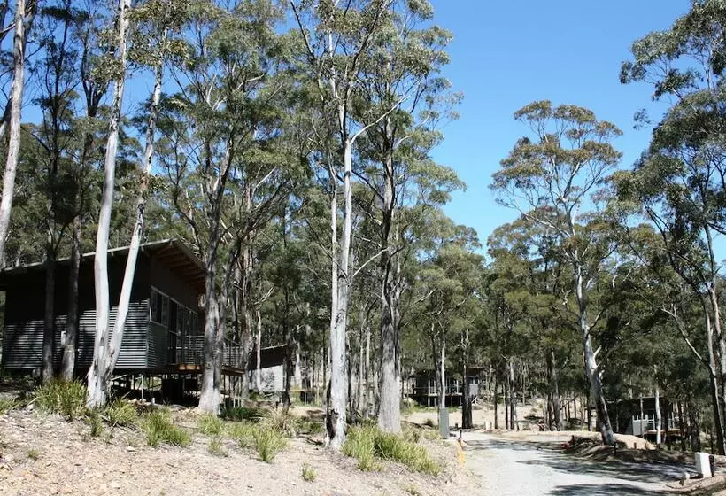 Craggy Peaks Wilderness Cabins