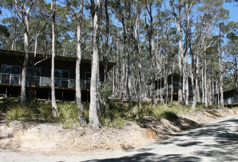 Craggy Peaks Wilderness Cabins