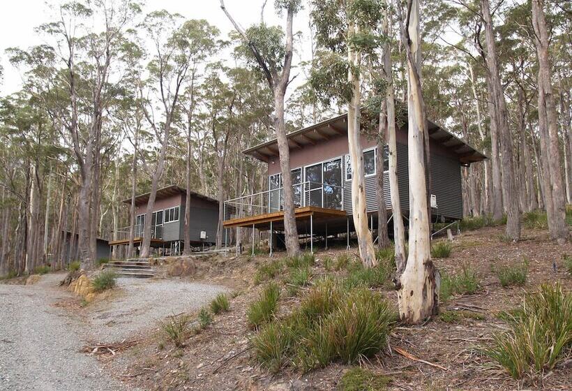 Craggy Peaks Wilderness Cabins