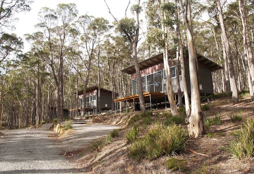 Craggy Peaks Wilderness Cabins