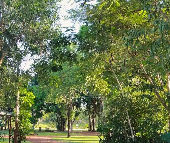 ホテル Banyan Tree