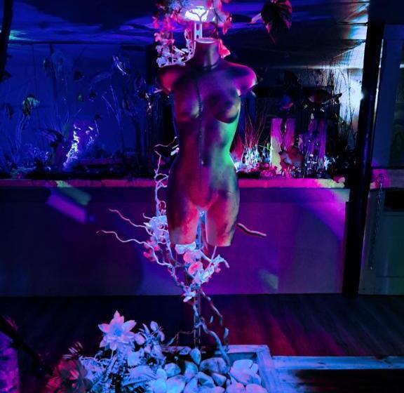 בית מלון כפרי L'usine