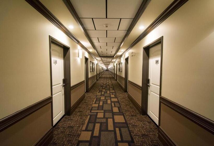 ホテル Nova Inn Manning