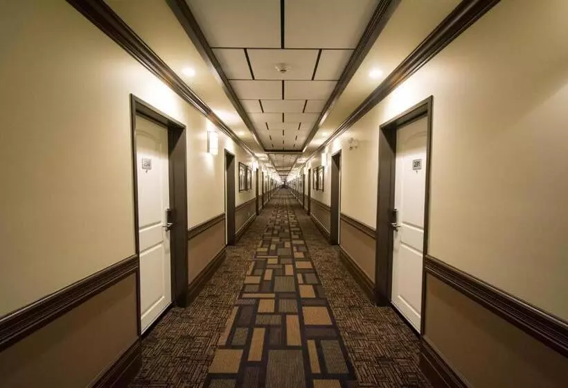 Hotelli Nova Inn Manning