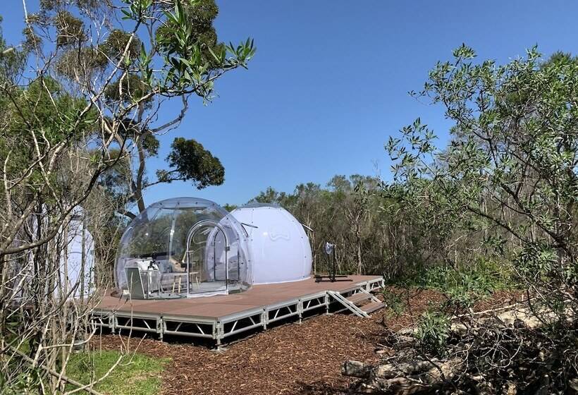 בית מלון כפרי Skytentoz Raymond Island