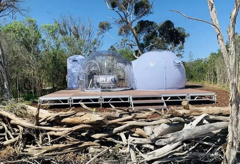 Hotelli Skytentoz   Raymond Island