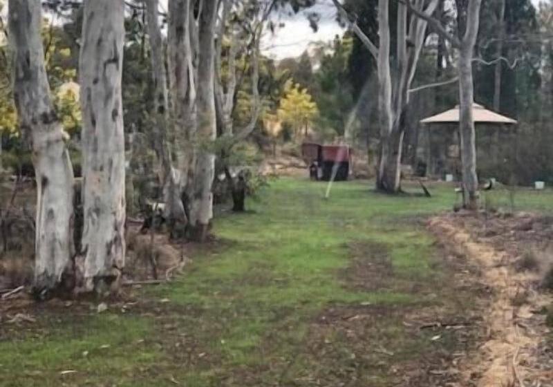 Motel Hill End Lodge