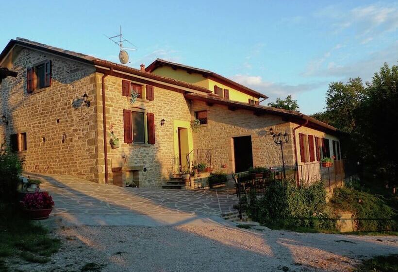 Stone Cottage In Marche With Swimming Pool