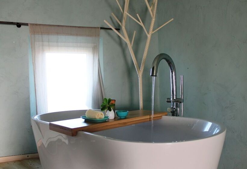 B&b Le Mas Turquoise   Spa Color Inclus