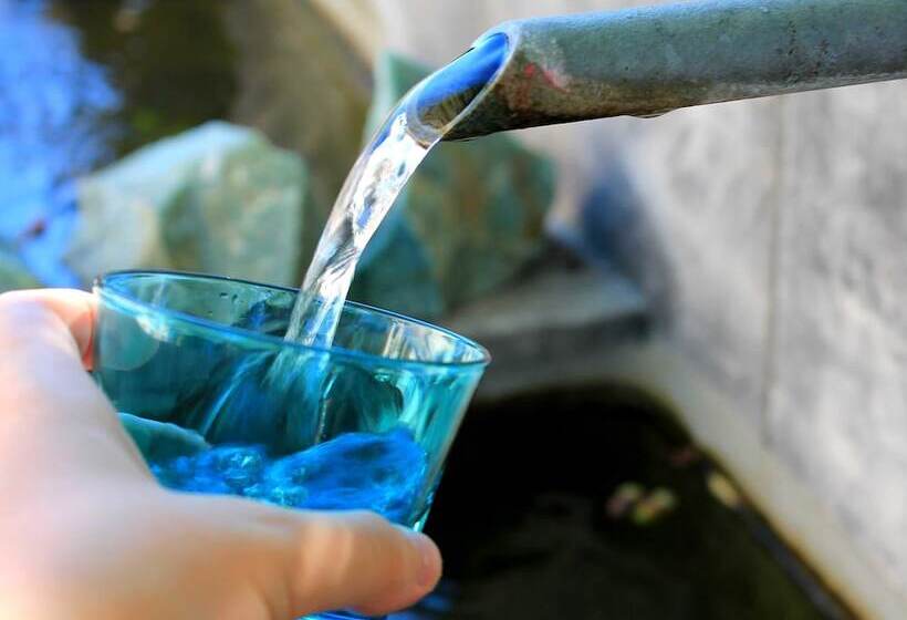 B&b Le Mas Turquoise   Spa Color Inclus