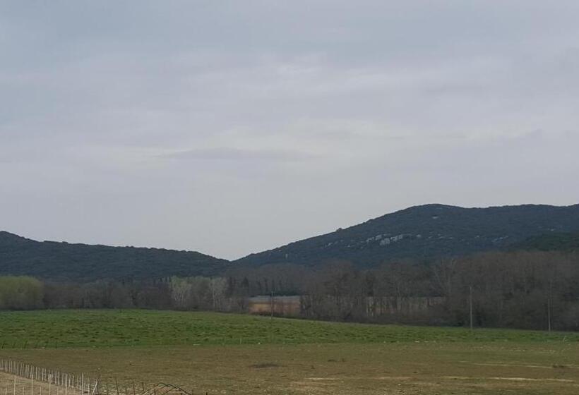 צימר Chambres D Hôtes Au Mas Du Sire