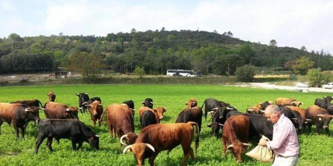 צימר Chambres D Hôtes Au Mas Du Sire