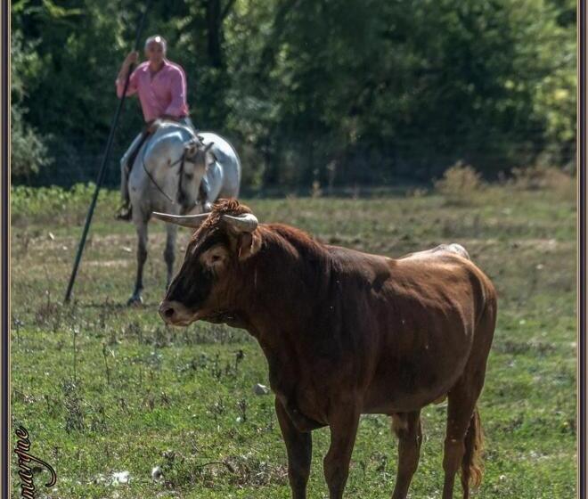 צימר Chambres D Hôtes Au Mas Du Sire