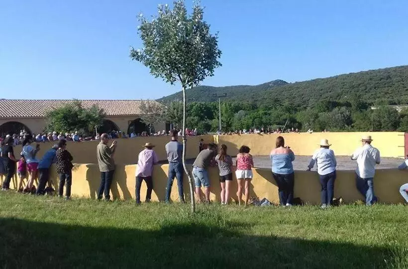 Aamiaismajoitus (B&B) Chambres D Hôtes Au Mas Du Sire