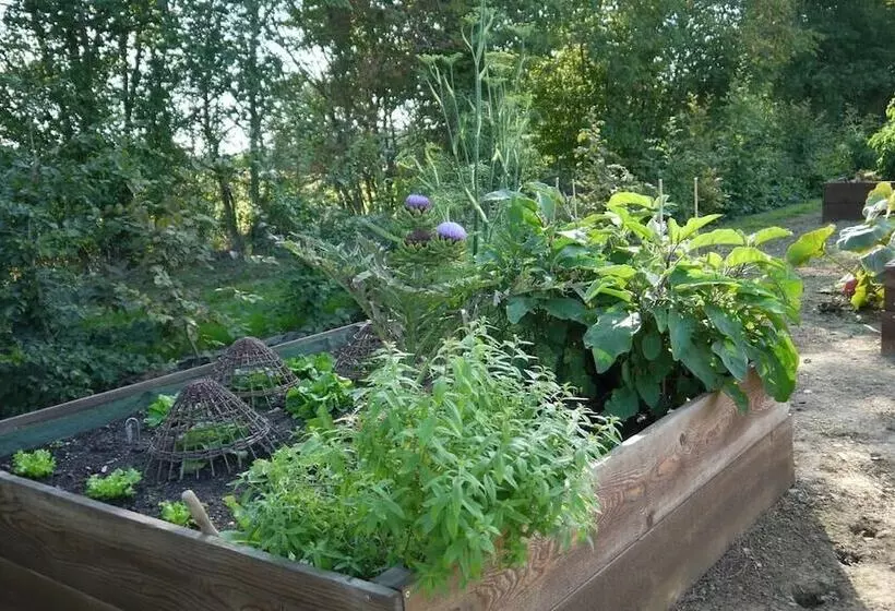 Aamiaismajoitus (B&B) Chambres D Hôtes Logis De La Juquaise