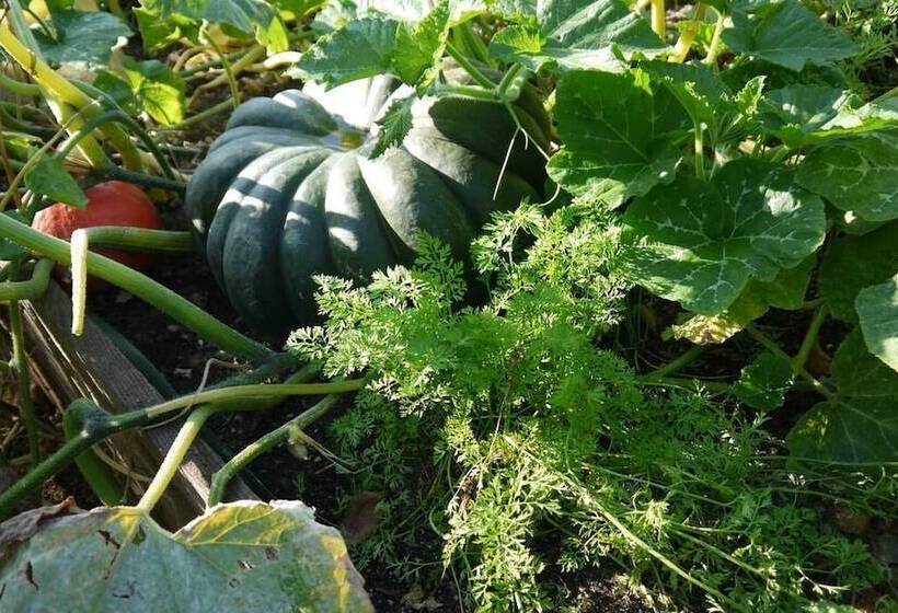 住宿加早餐  Chambres D Hôtes Logis De La Juquaise