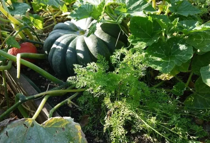 Aamiaismajoitus (B&B) Chambres D Hôtes Logis De La Juquaise