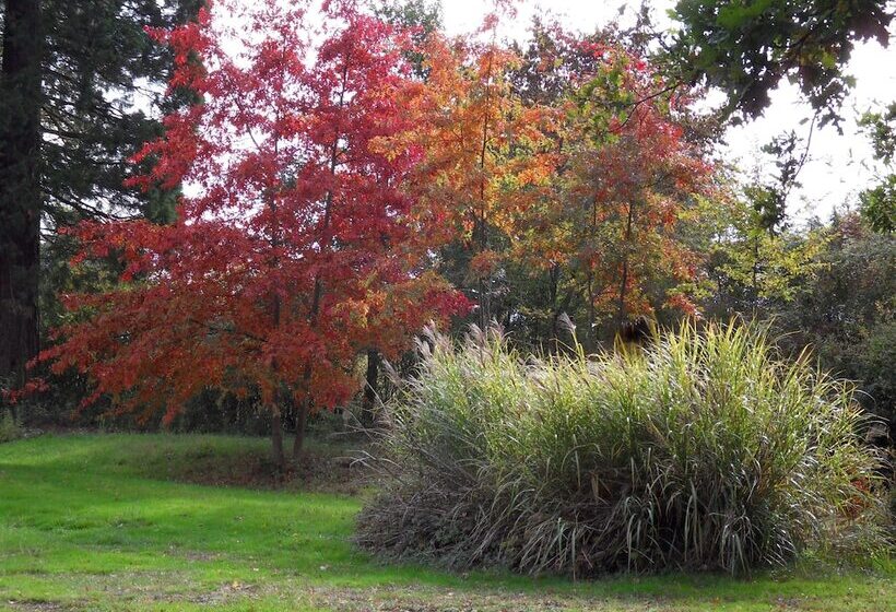 مبيت وإفطار Château De La Motte