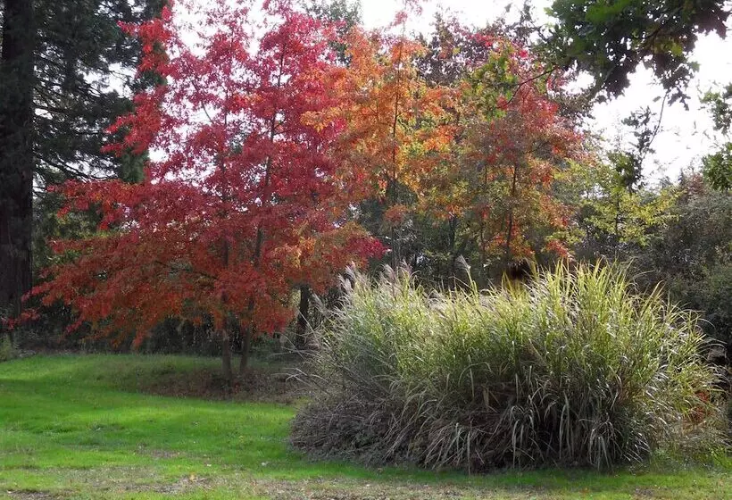Aamiaismajoitus (B&B) Château De La Motte