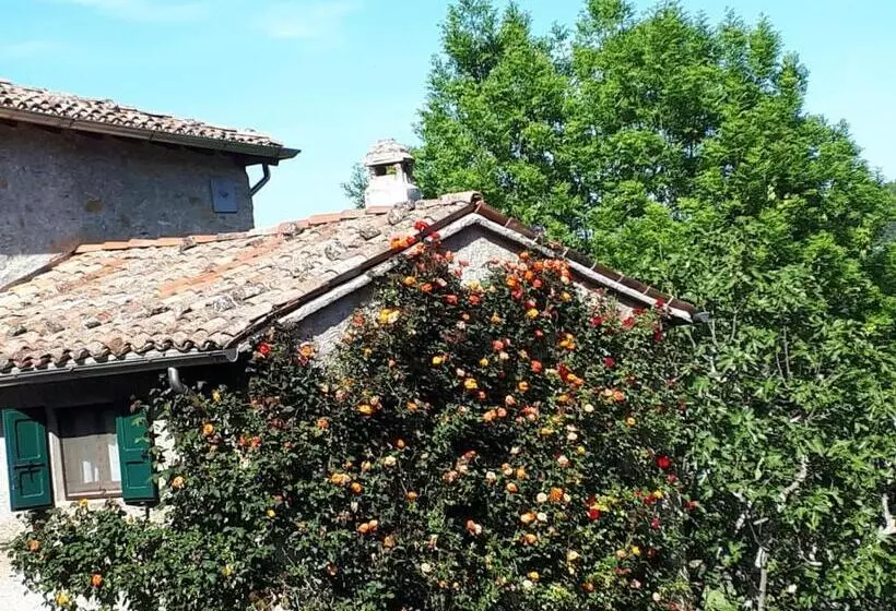 Bed and Breakfast La Corte Bonomini